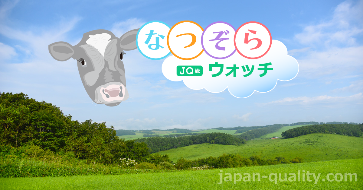 【NHK朝ドラ“なつぞら”ウオッチ（4）】　水槽で冷やしている牛乳缶は、どこへ運ばれる？