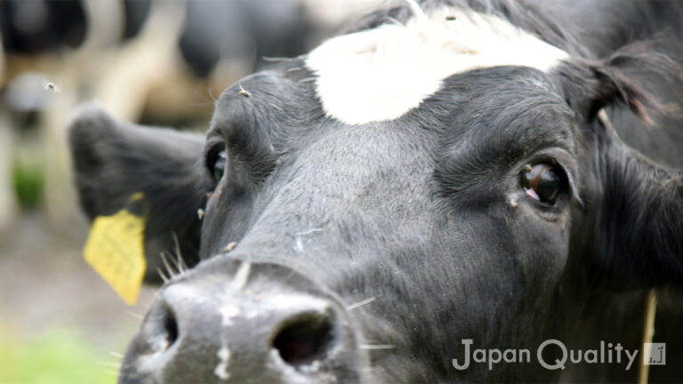 害虫との闘い（がいちゅうとのたたかい）｜ 尻尾をぶんぶん振り回して、ハエやアブを追い払う