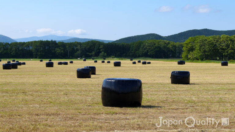 ラップサイレージ／ロールベール｜ 牧場に散らばる白や黒のラッピングは発酵飼料