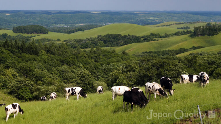 名号（めいごう）｜ 牛さんにもそれぞれ名前がついている