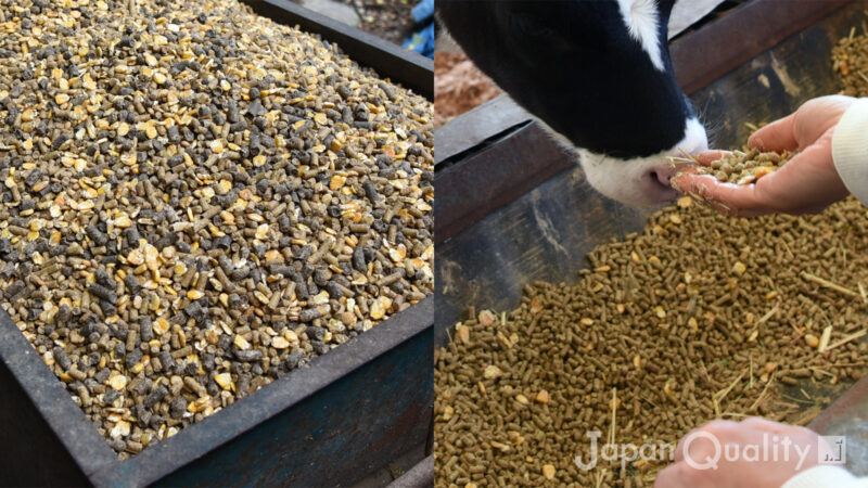 濃厚飼料（のうこうしりょう）｜ 牛さんのごはんのおかずは穀物由来