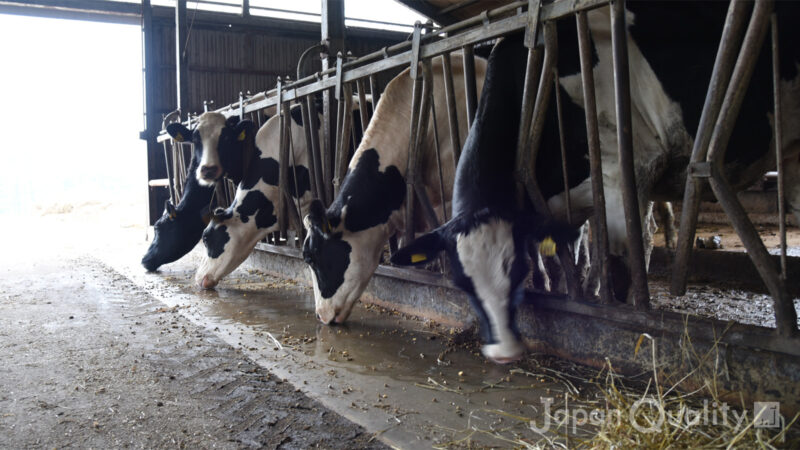 エコフィード｜ 食品残さ等を利用して作る飼料は、地域色豊か