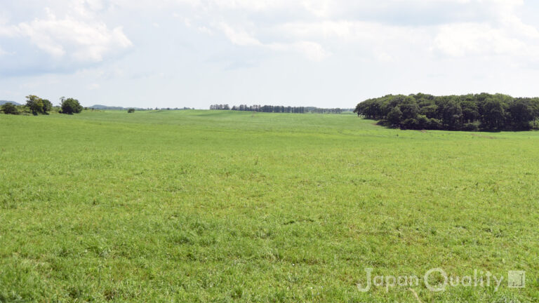 空き地の草原に見えても、牧草地である場合が。立ち入りは控えましょう｜酪農のはなし