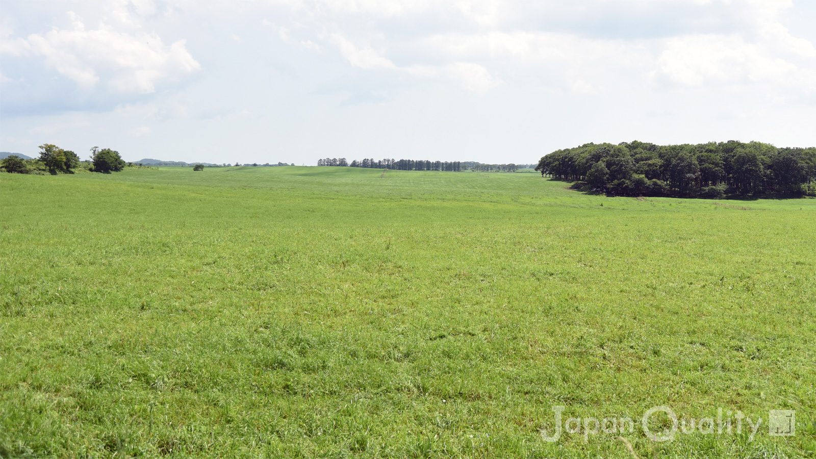 「利用規約」のアイキャッチ画像