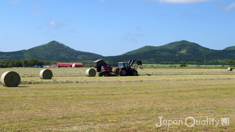 酪農家が絶対に休めない時は6月。でも繁忙期を過ぎたらヘルパー利用で家族旅行もできる｜酪農のはなし