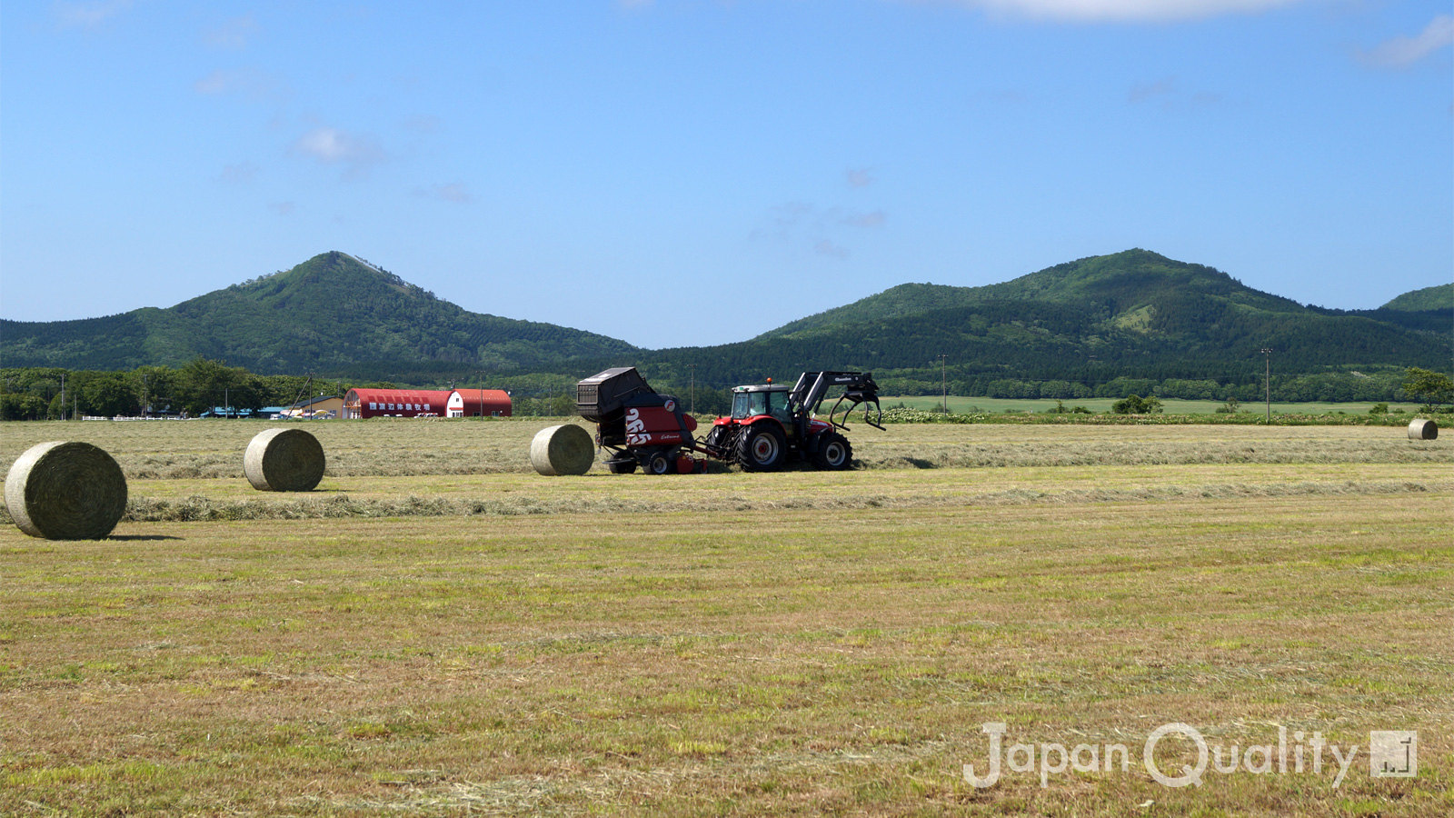 「酪農家が絶対に休めない時は6月。でも繁忙期を過ぎたらヘルパー利用で家族旅行もできる｜酪農のはなし」のアイキャッチ画像