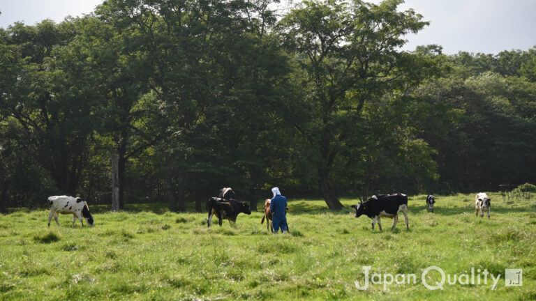 家畜をかわいそうだと叫ぶ人たちにこそ、酪農家が抱く葛藤と自負を知ってほしい｜酪農のはなし