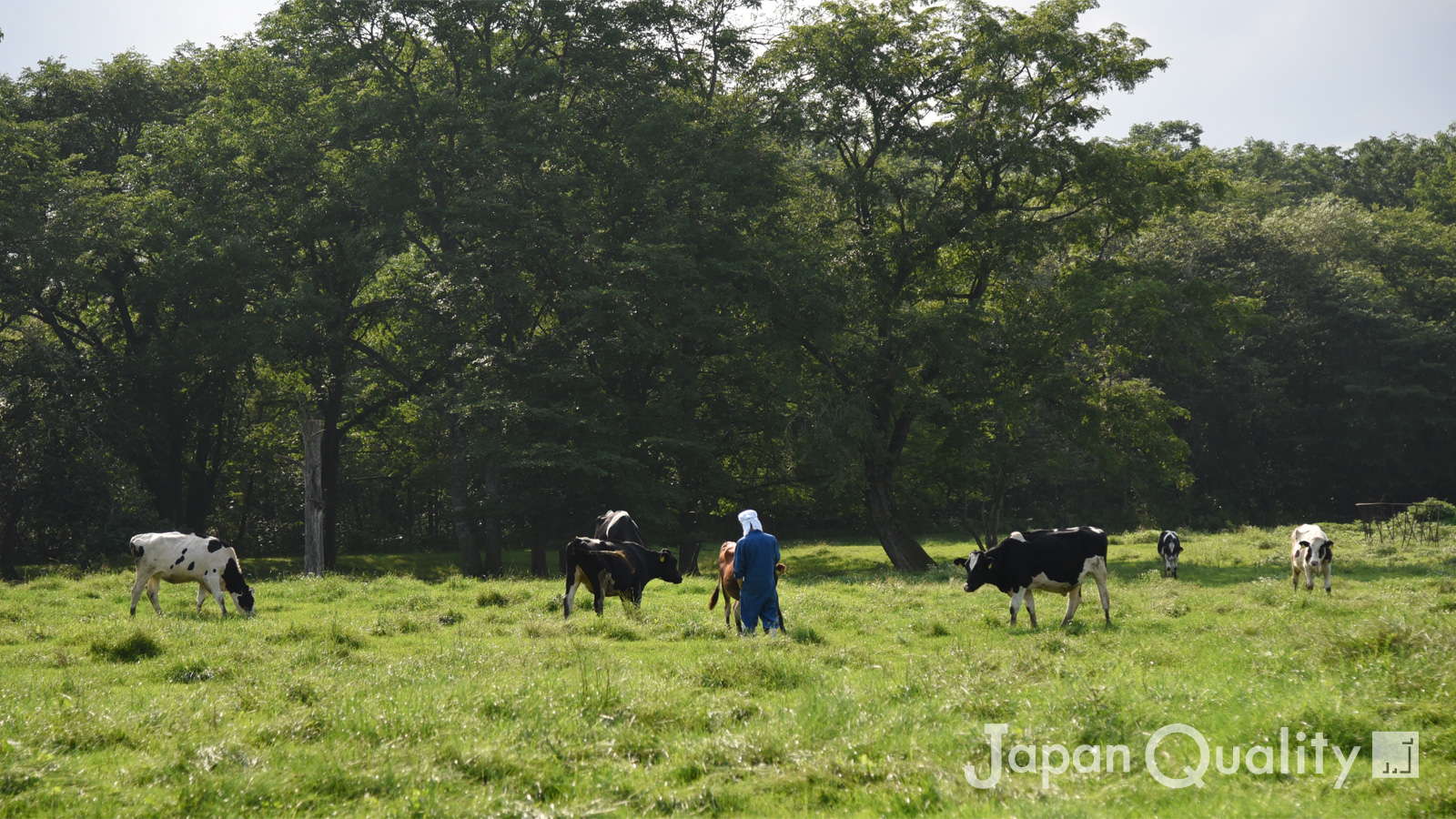 「家畜をかわいそうだと叫ぶ人たちにこそ、酪農家が抱く葛藤と自負を知ってほしい｜酪農のはなし」のアイキャッチ画像