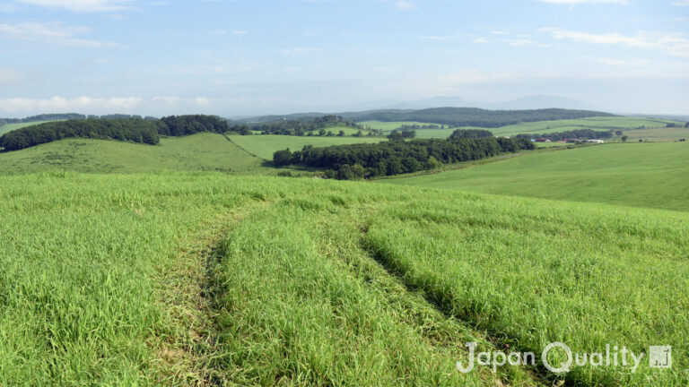 消臭液「きえ～る」と牛さんが作る、これからの時代の新しい関係｜酪農のはなし